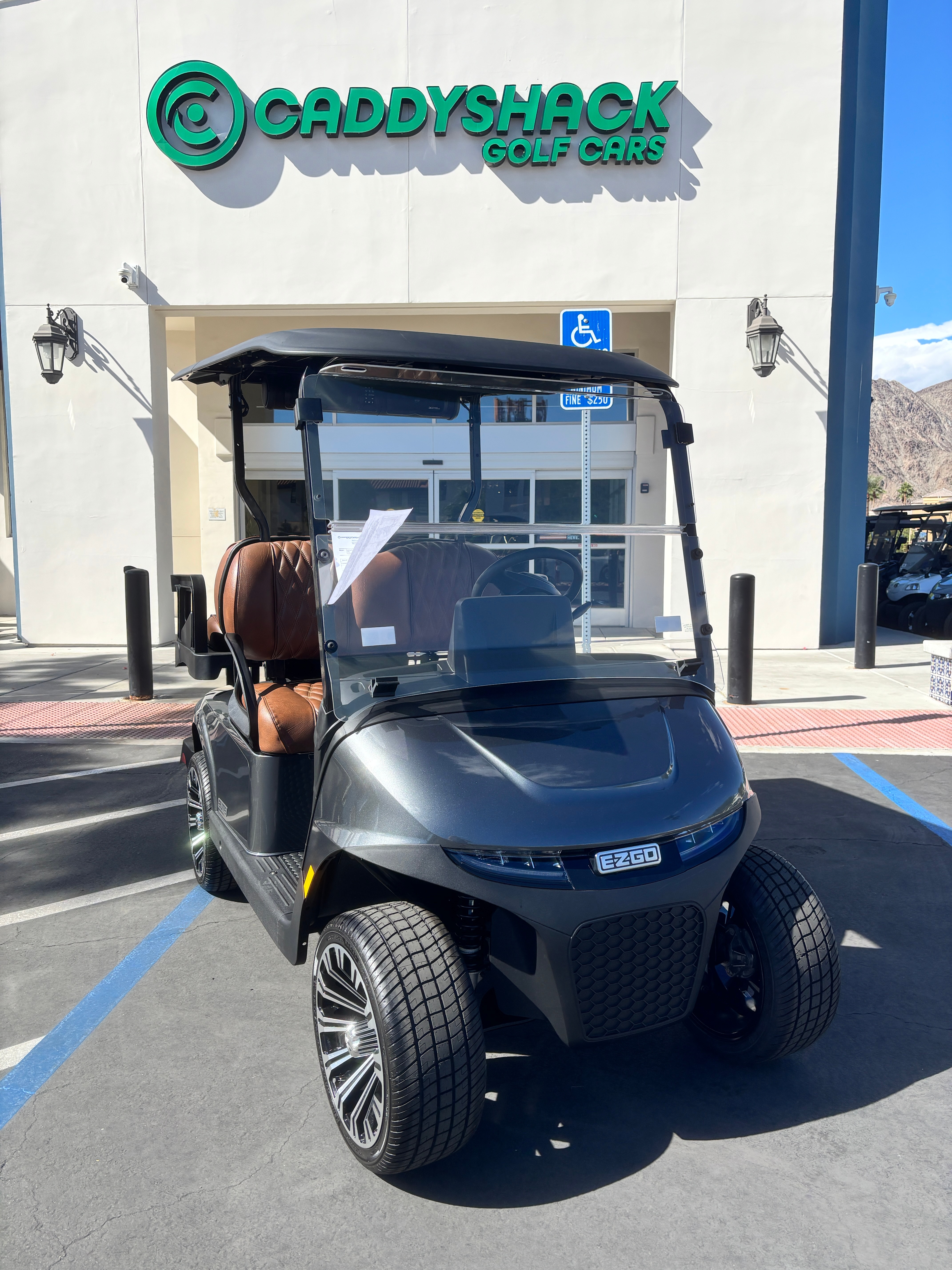 2026 EZGO RXV photo 2