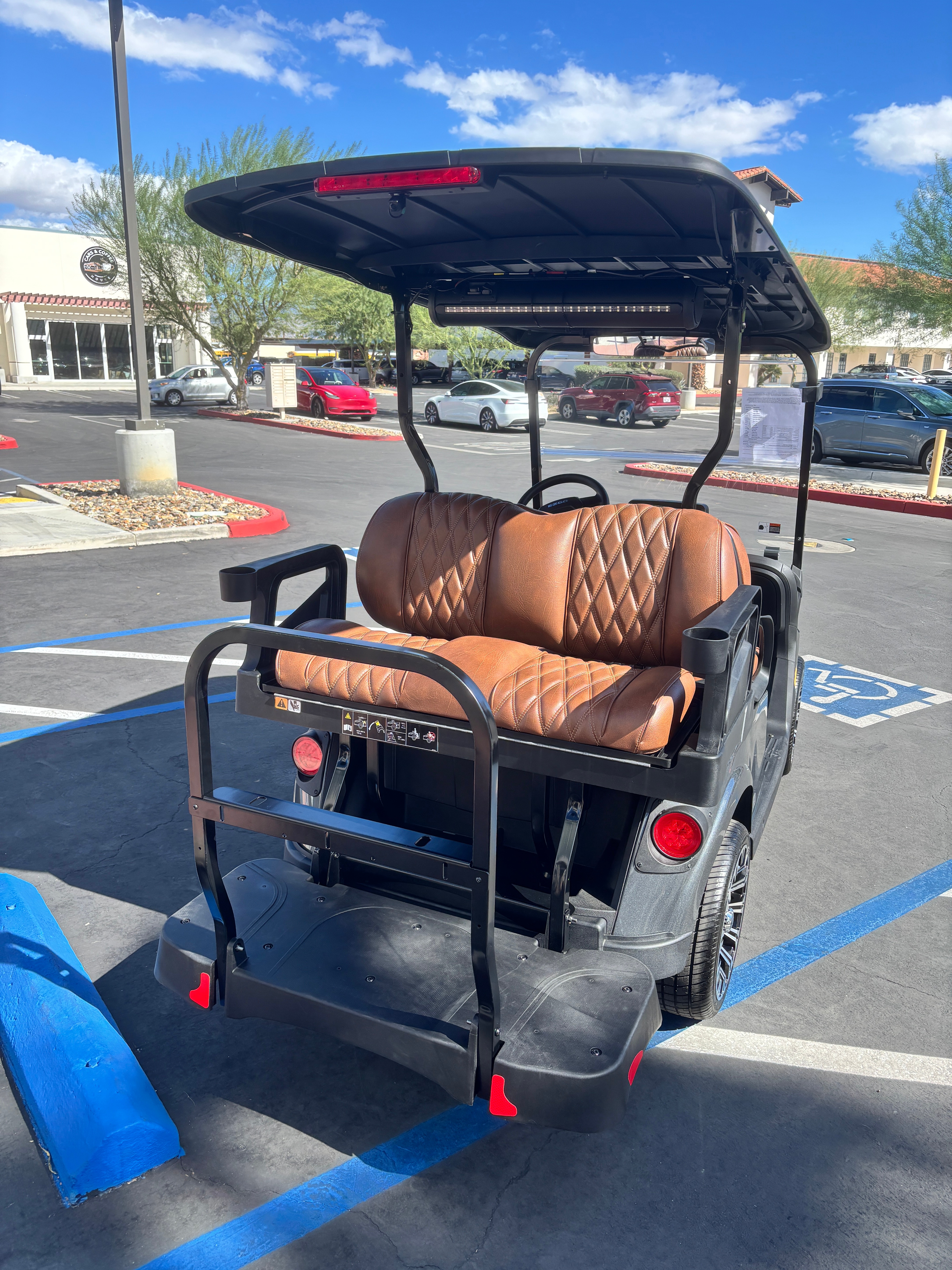 2026 EZGO RXV photo 6