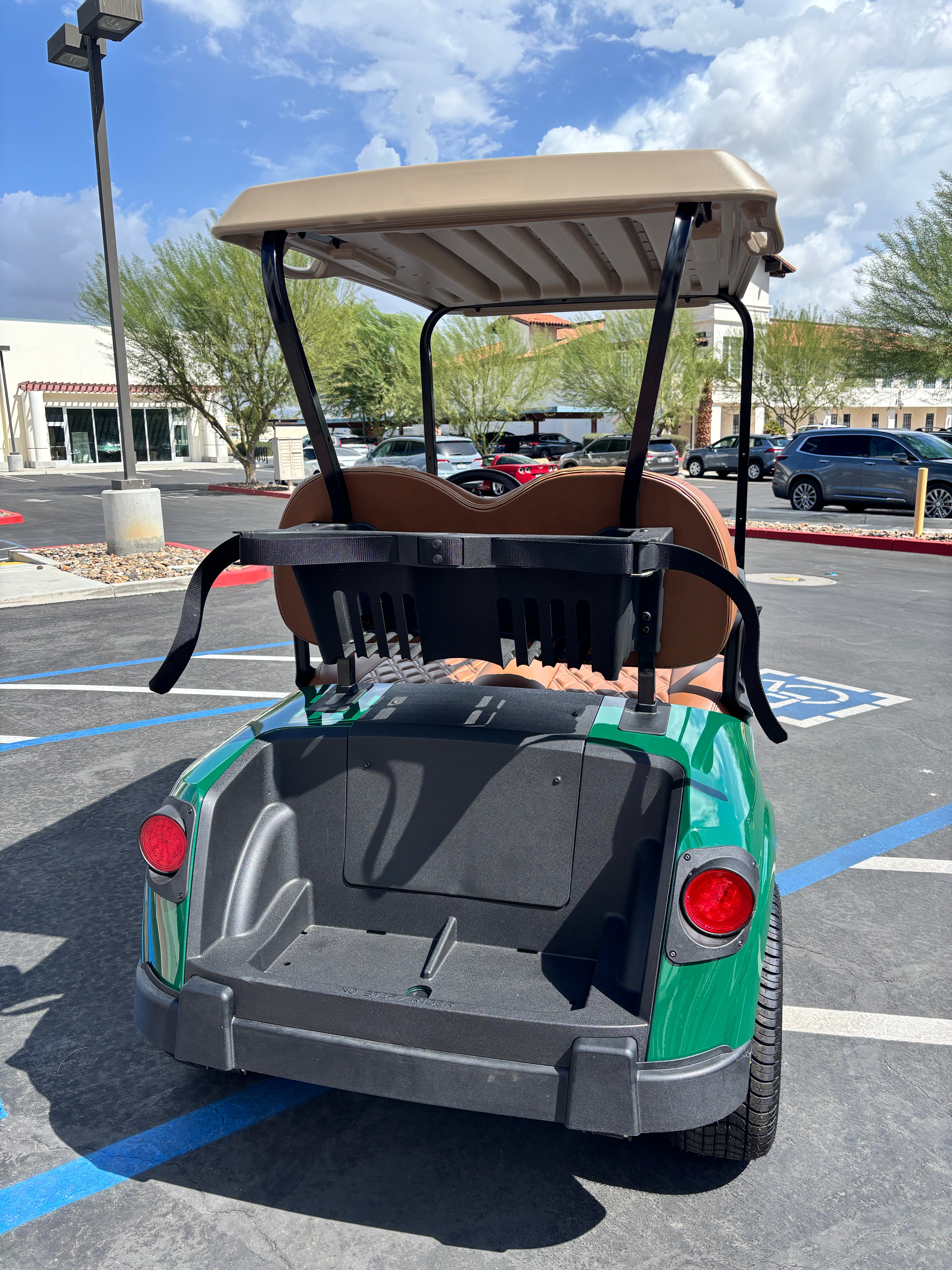 2026 EZGO RXV photo 4