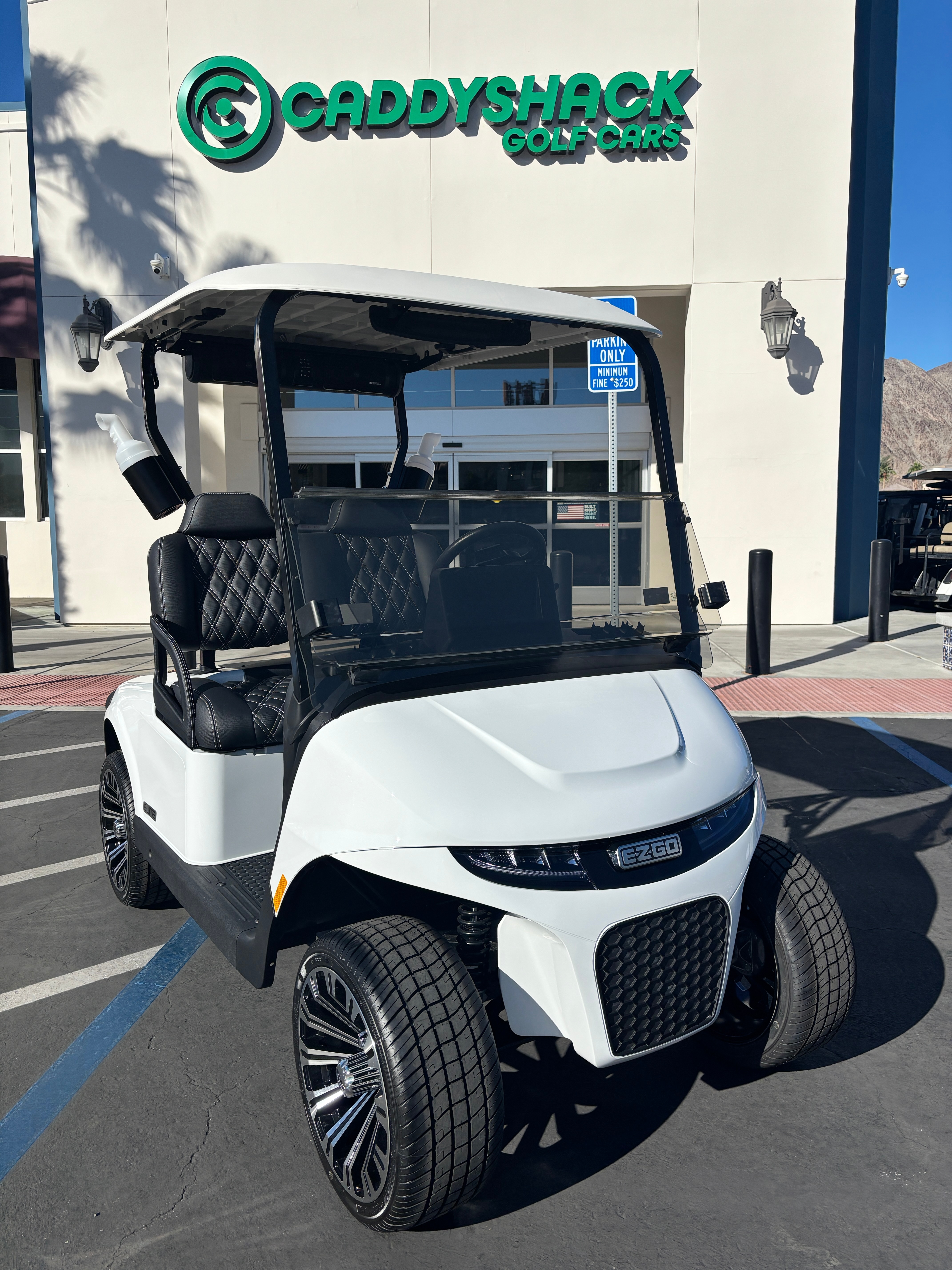 2026 EZGO Freedom