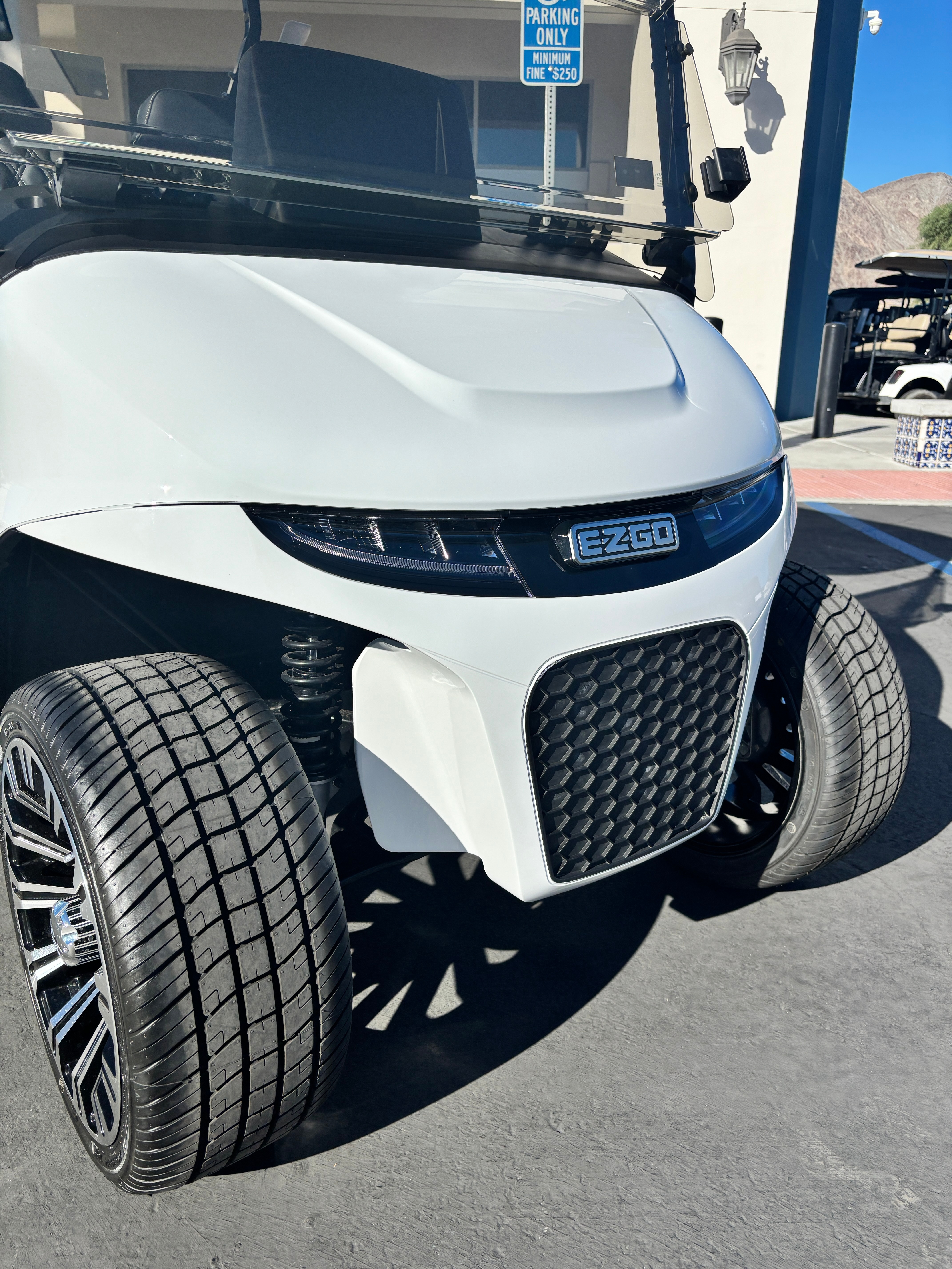 2026 EZGO Freedom photo 3