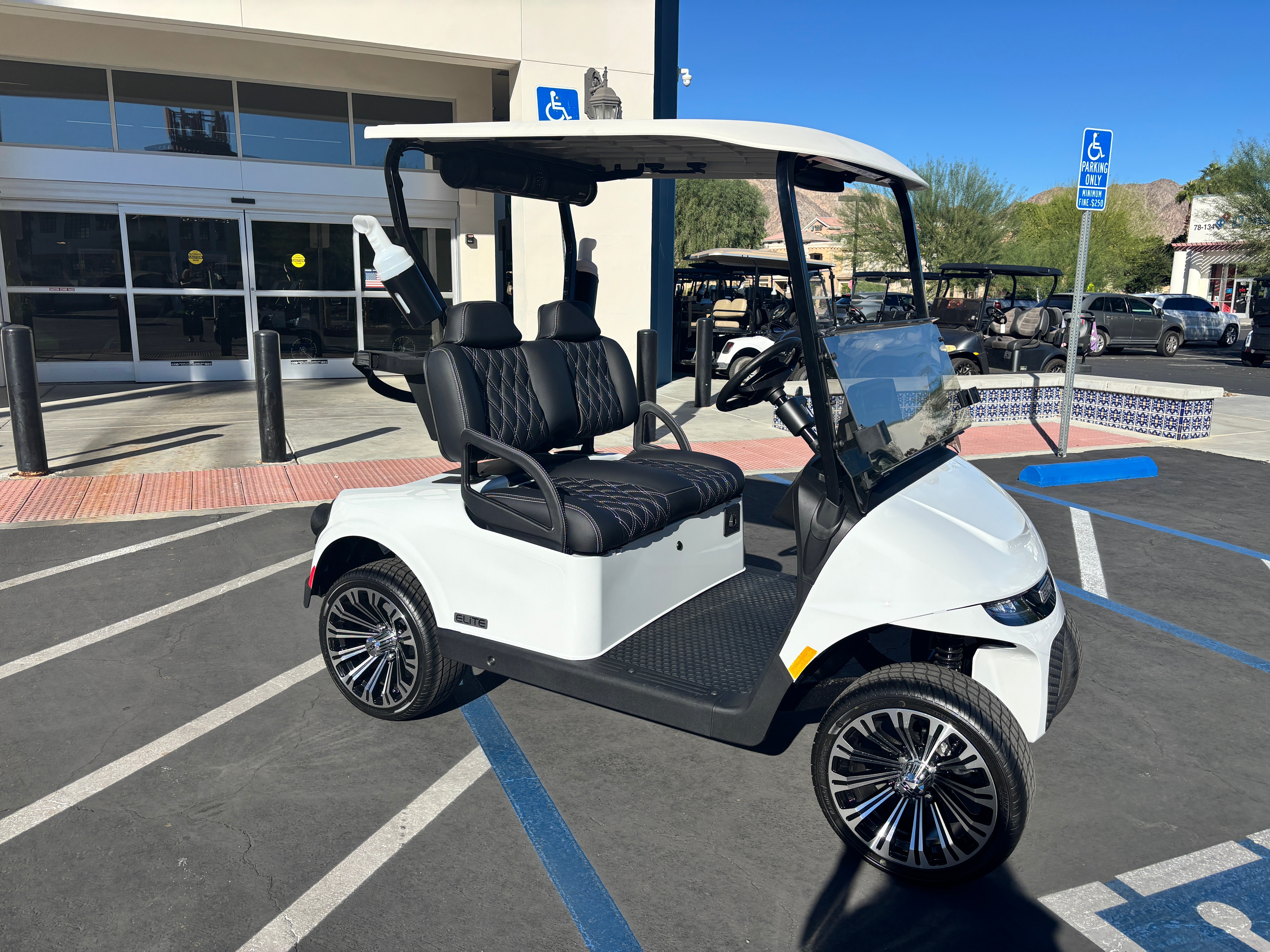 2026 EZGO Freedom photo 4
