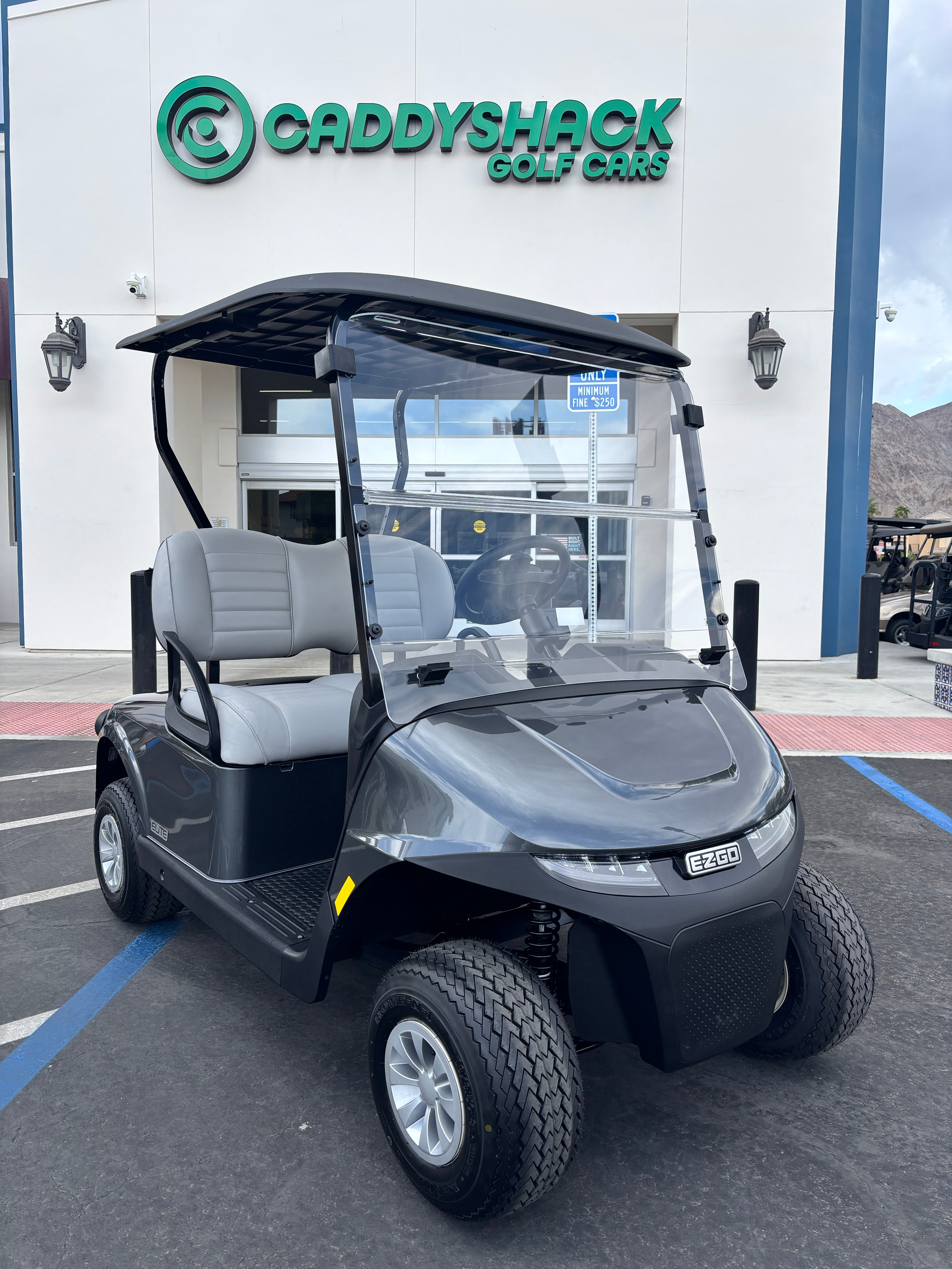 2027 EZGO RXV photo 3