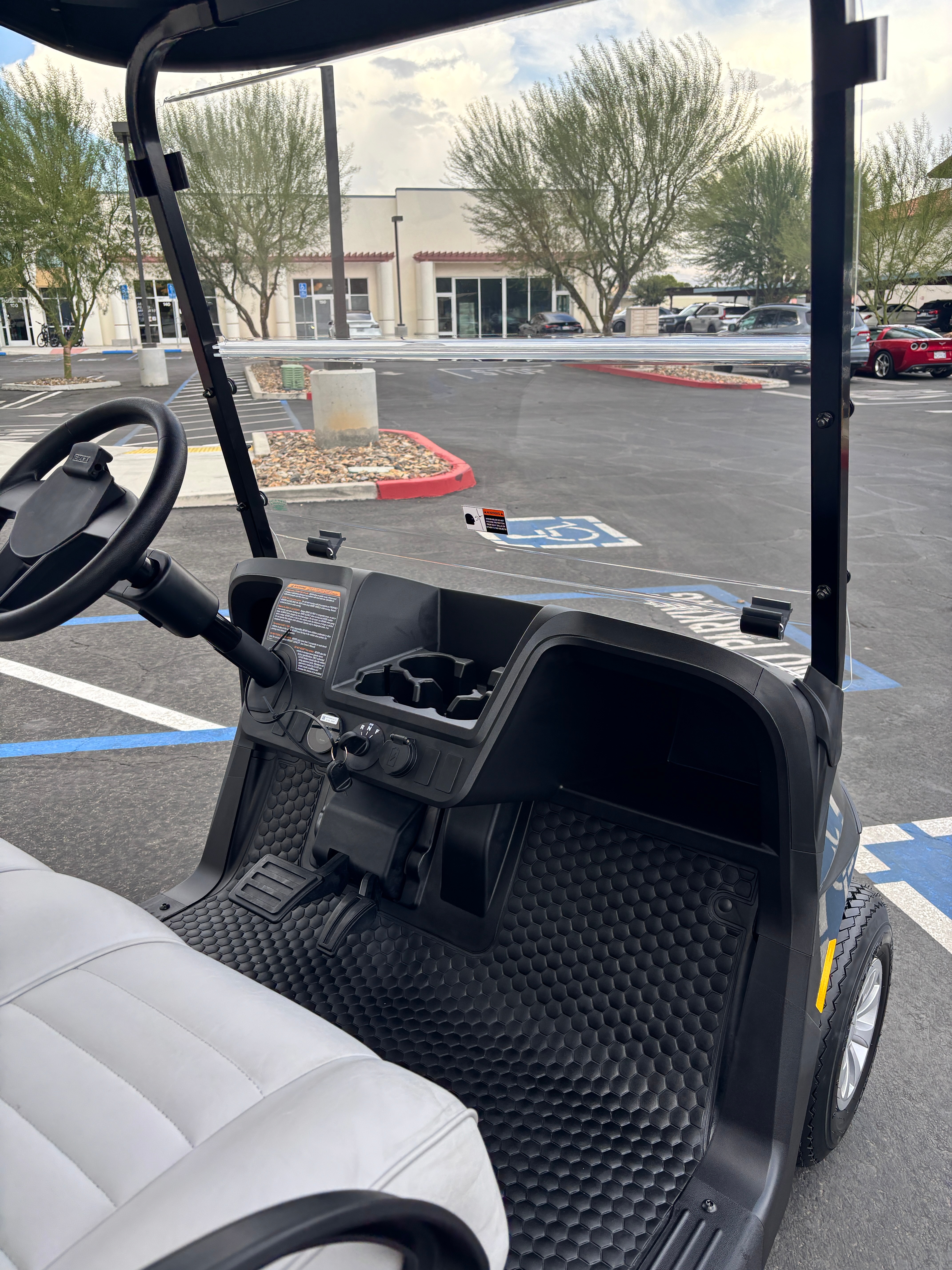 2027 EZGO RXV photo 5
