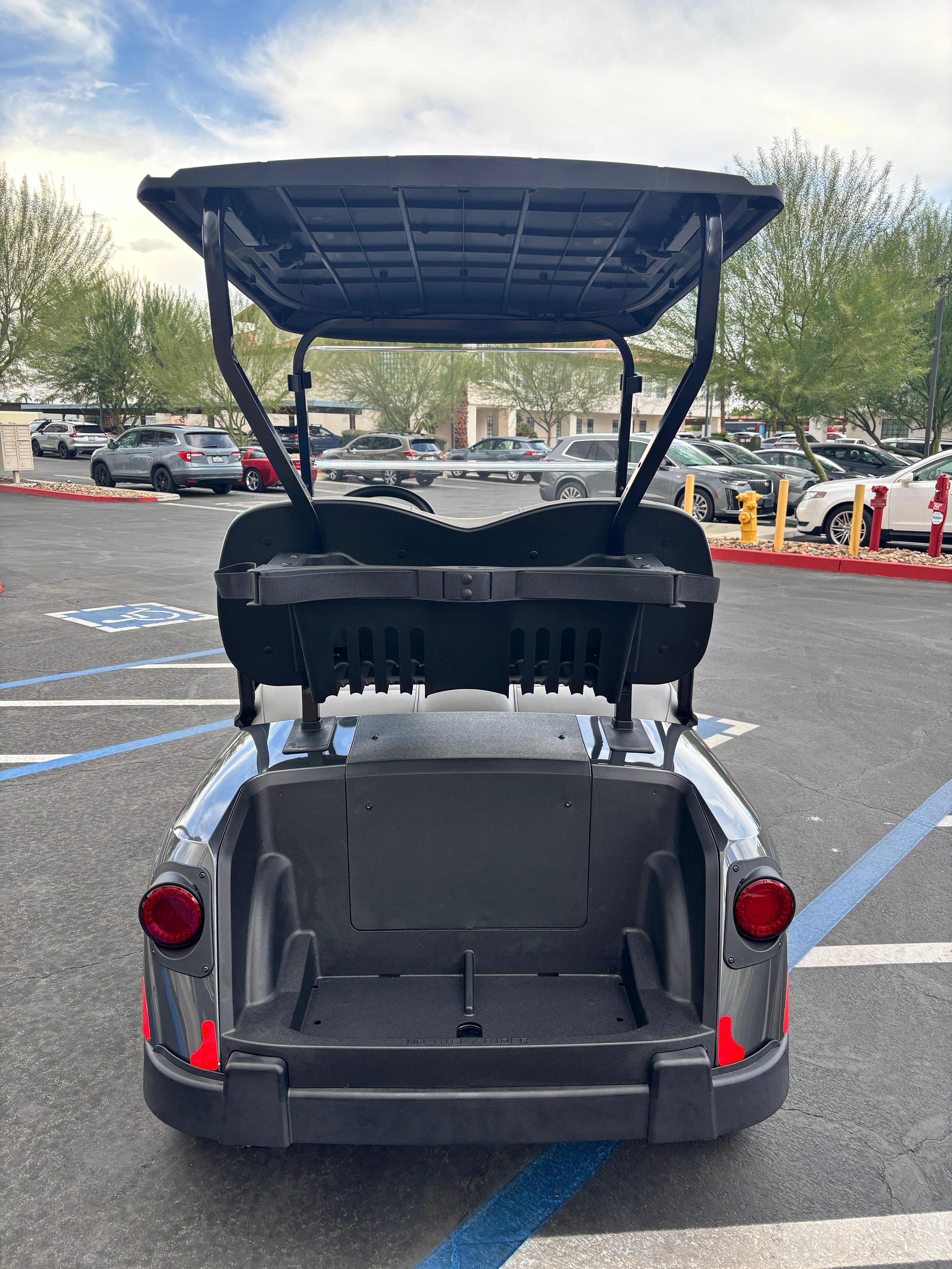 2027 EZGO RXV photo 6