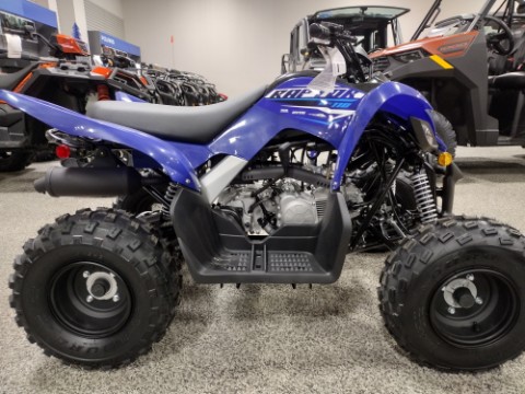 2026 Yamaha Raptor 110