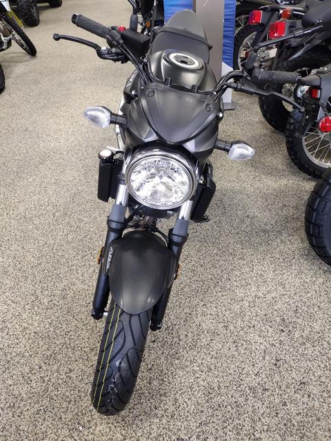 New 2025 Suzuki SV650 ABS, Murrysville PA | Specs, Price, Photos