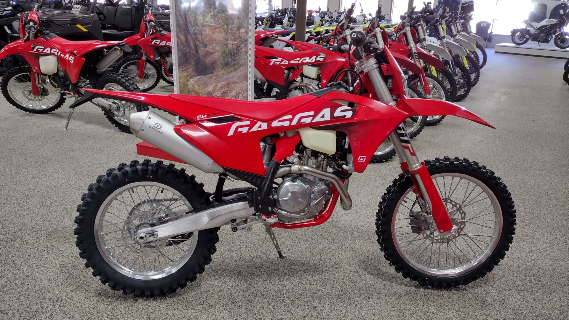 2024 GASGAS EW 500F