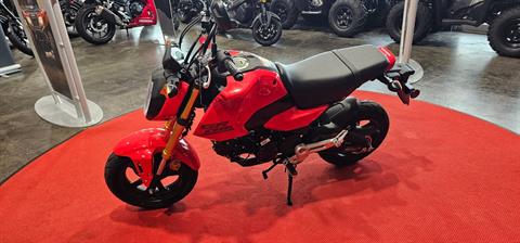 New 2025 Honda Grom Motorcycles in Fort Pierce, FL | Stock Number