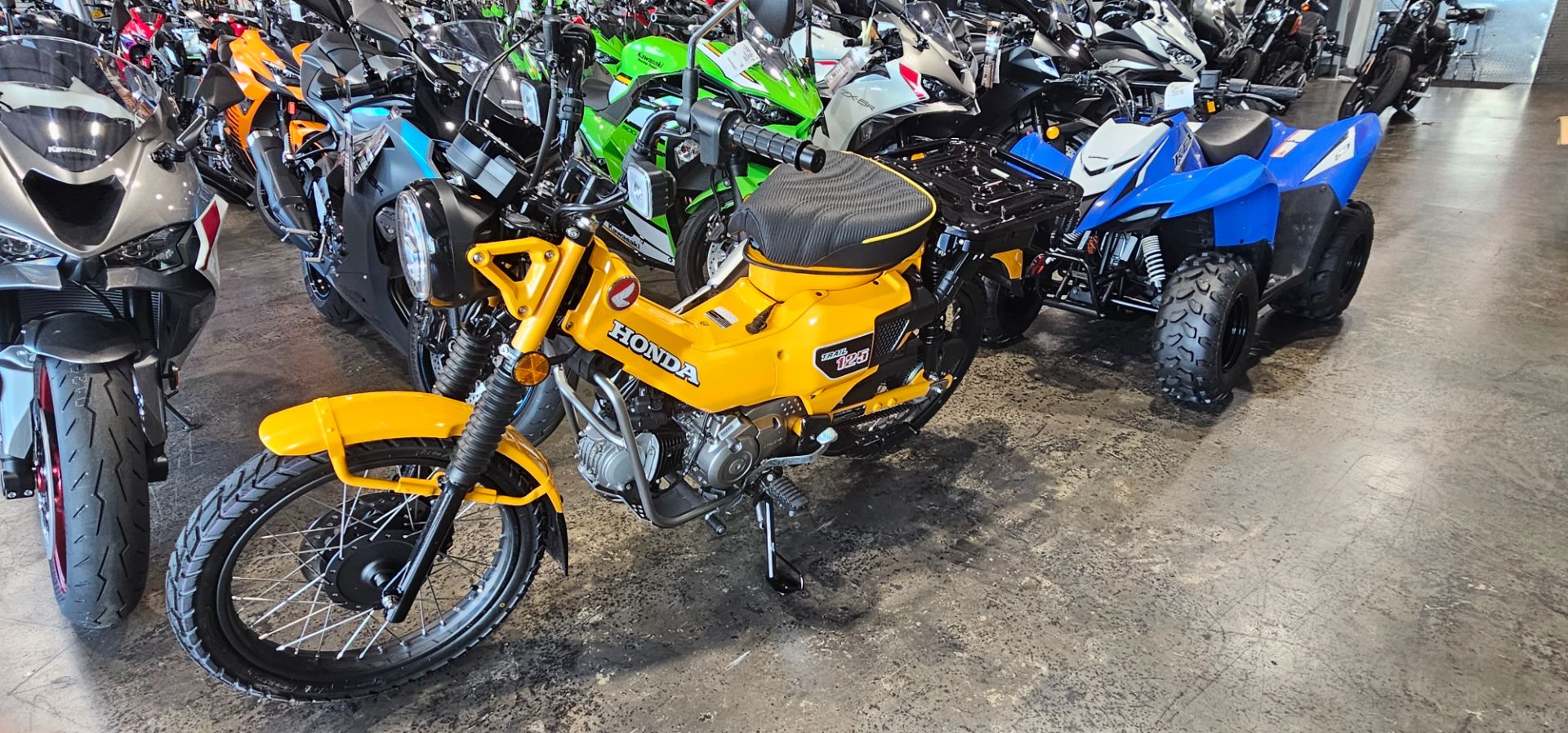 2024 Honda Trail125 in Fort Pierce, Florida - Photo 3