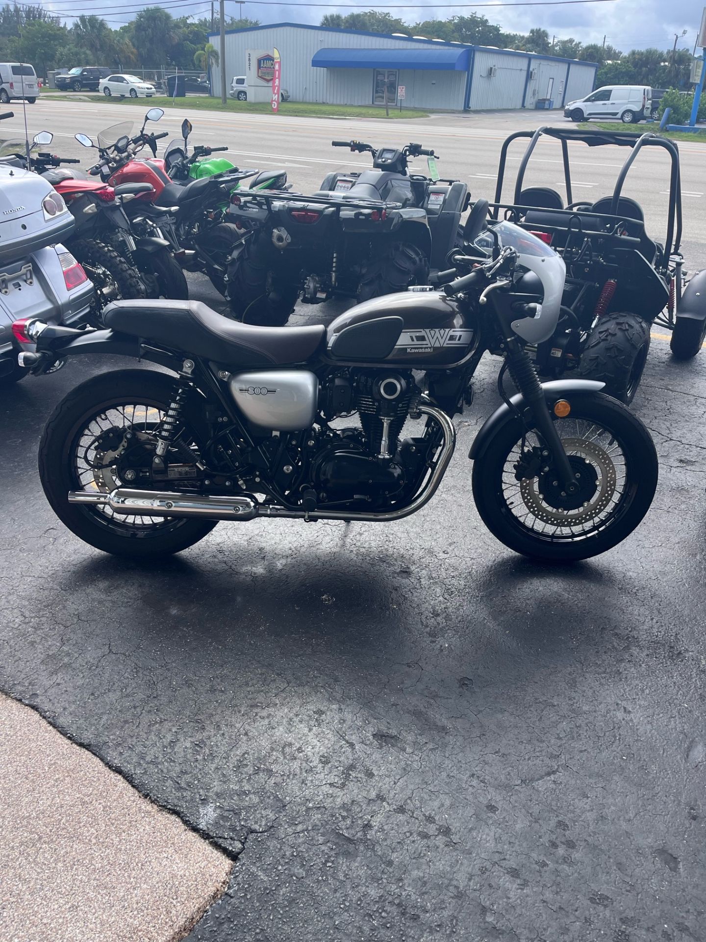 2019 Kawasaki W800 Cafe in Fort Pierce, Florida - Photo 4