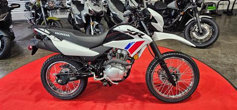 New 2025 Honda XR150L Motorcycles in Fort Pierce, FL | Stock