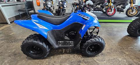 2023 Kawasaki KFX 90 in Fort Pierce, Florida - Photo 2