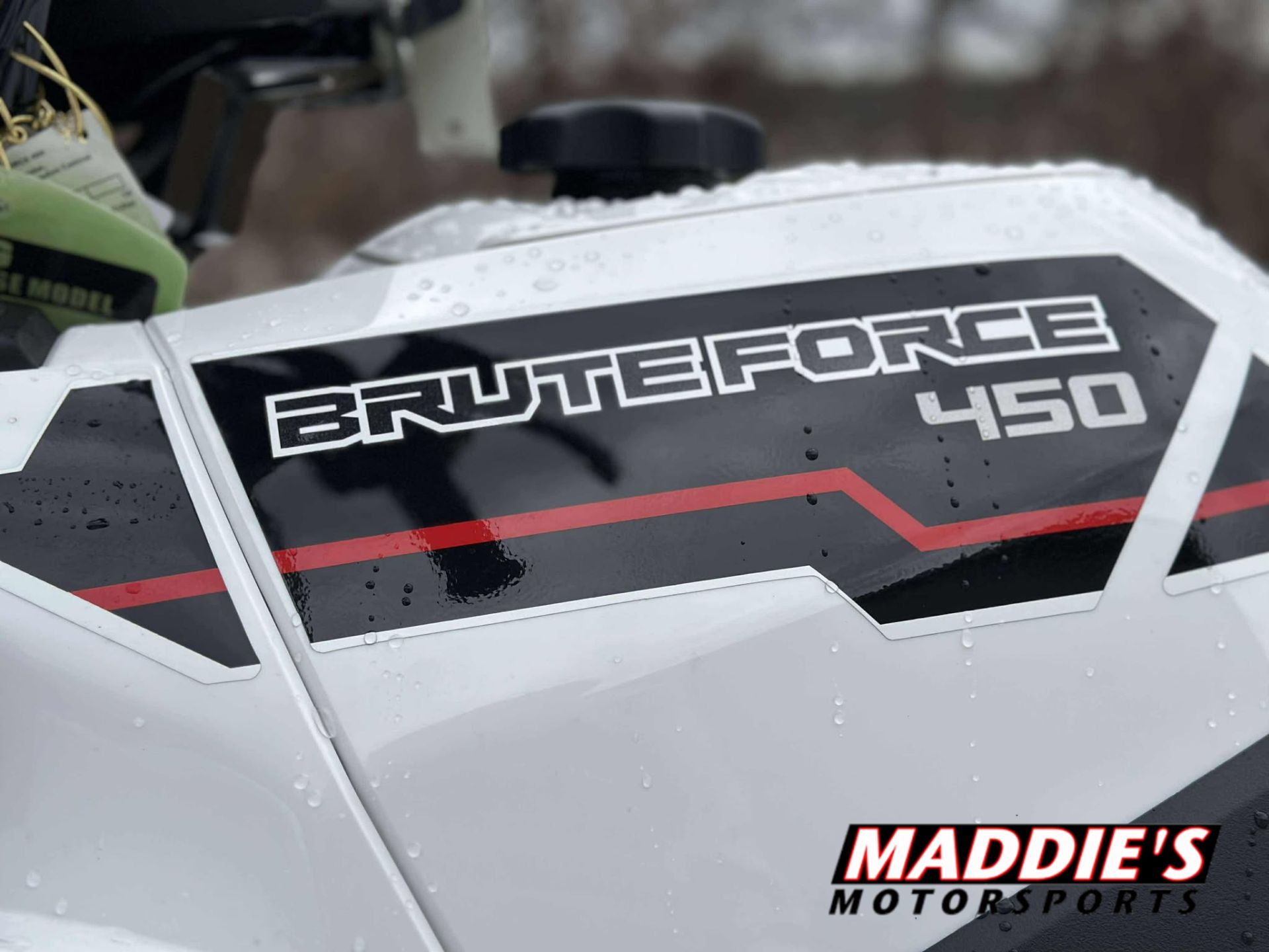 2025 Kawasaki Brute Force® 450 4x4 2