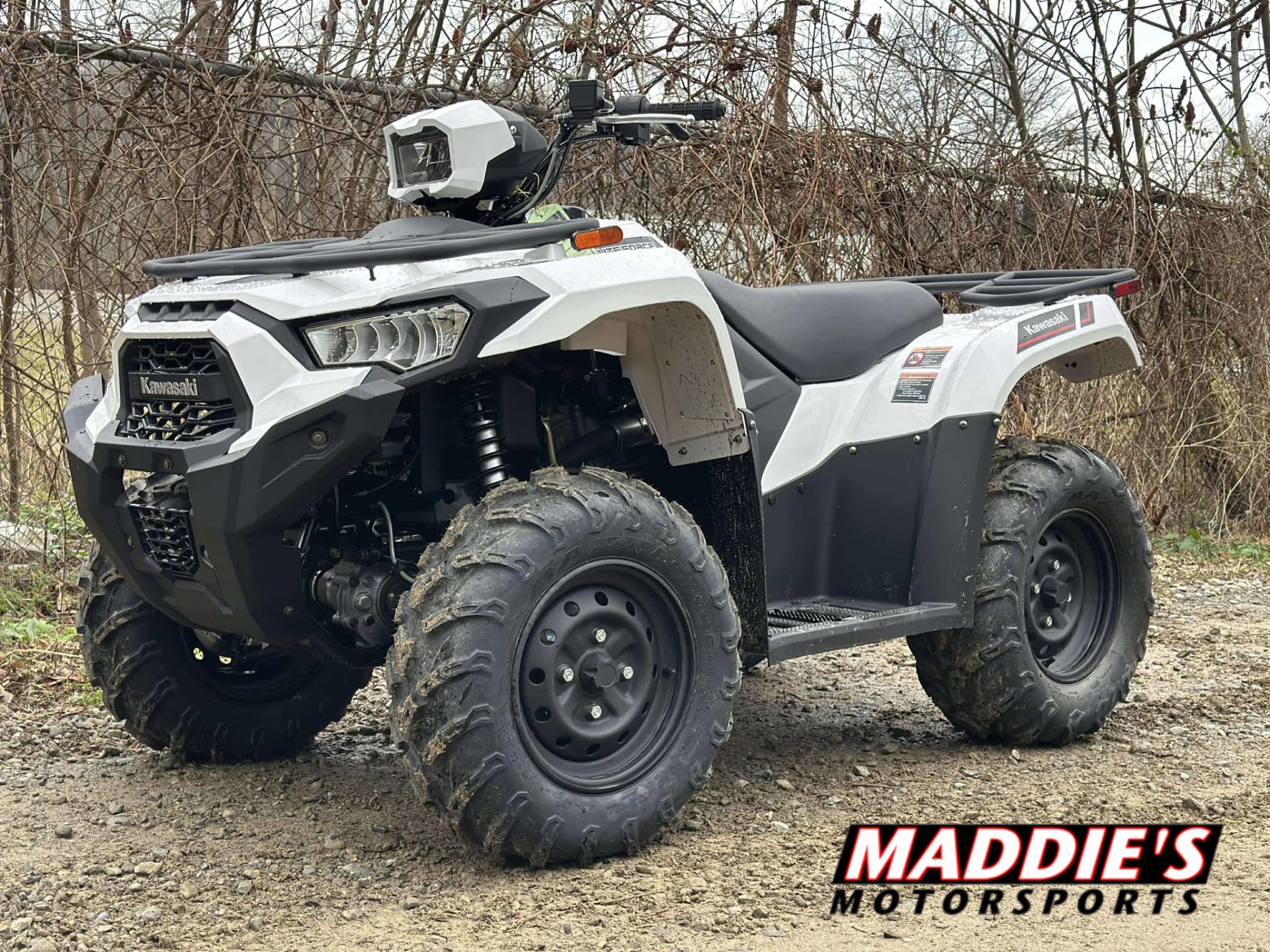 2025 Kawasaki Brute Force® 450 4x4 1