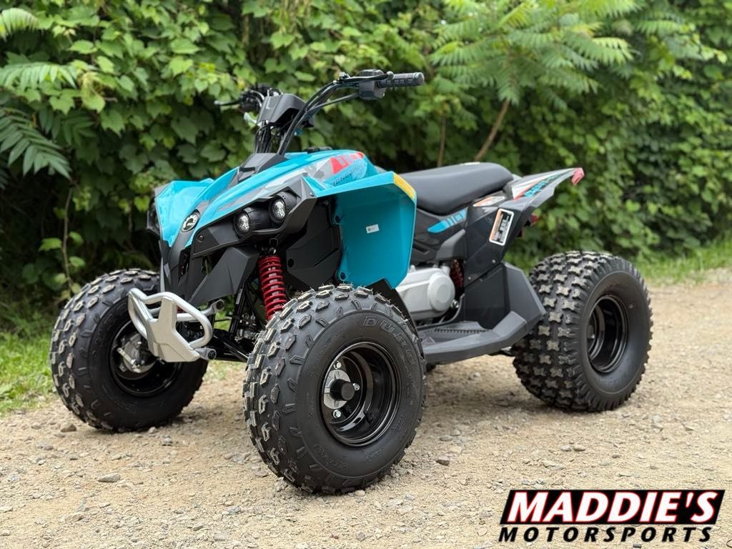 2026 Can-Am™ Renegade 110 EFI 1
