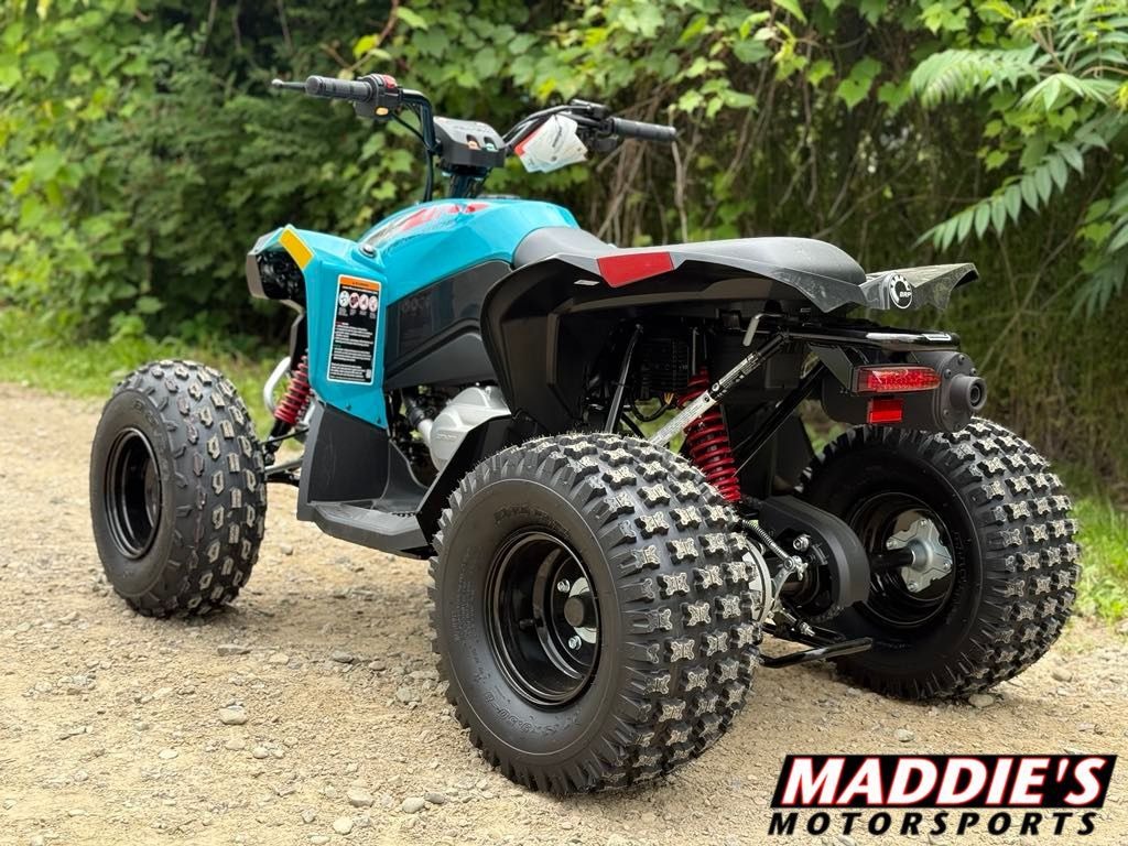 2026 Can-Am™ Renegade 110 EFI 4