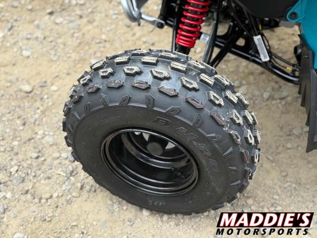 2026 Can-Am™ Renegade 110 EFI 10