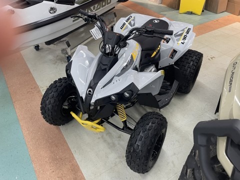 2026 Can-Am Renegade 110 EFI for sale 1265018