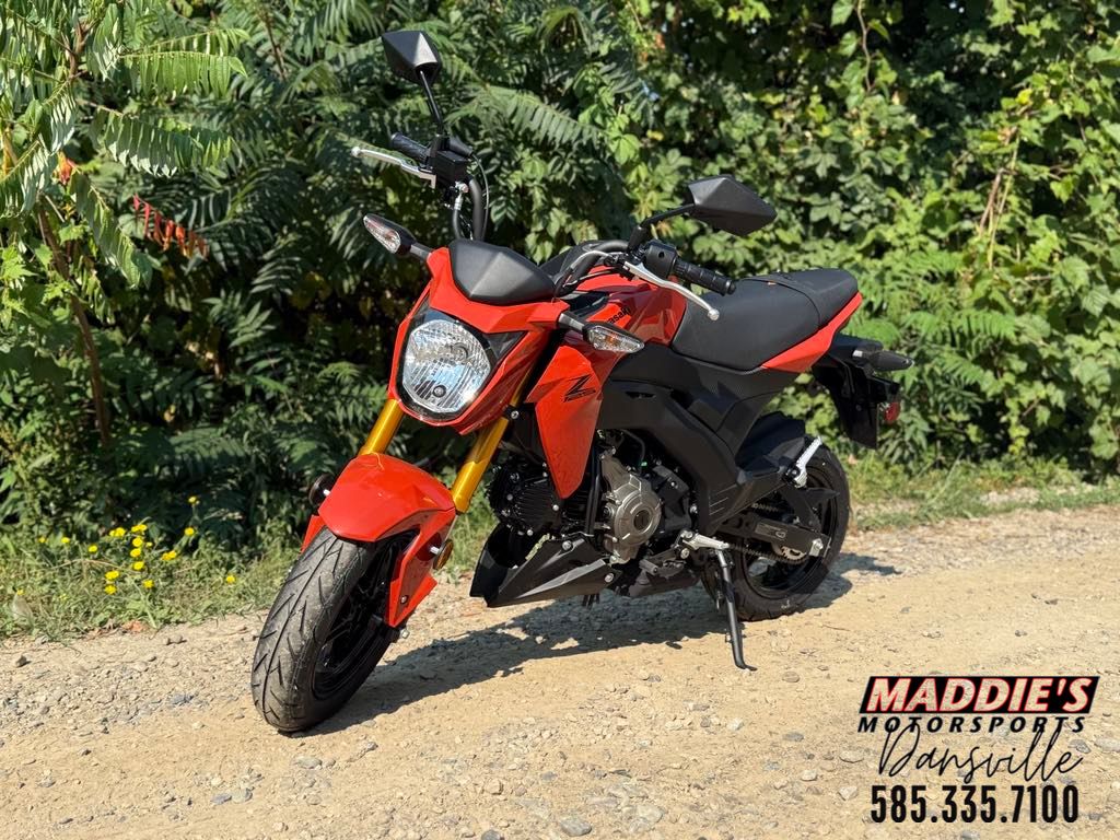 New 2025 Kawasaki Z125 Pro Motorcycles in Dansville NY KW33830