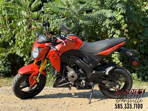 New 2025 Kawasaki Z125 Pro | Motorcycles in Dansville NY | KW33830