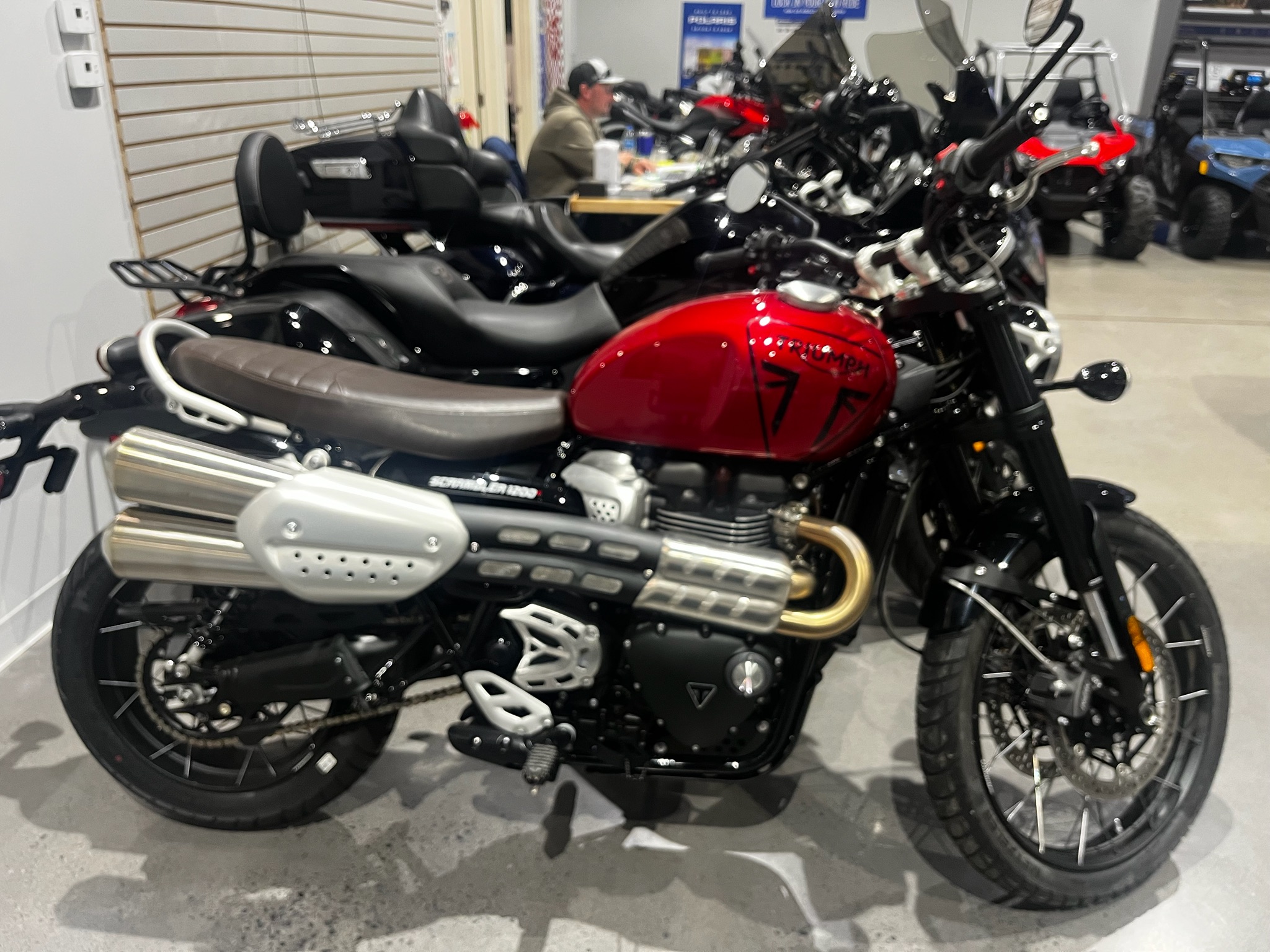 2024 Triumph Scrambler 1200 X for sale 484402