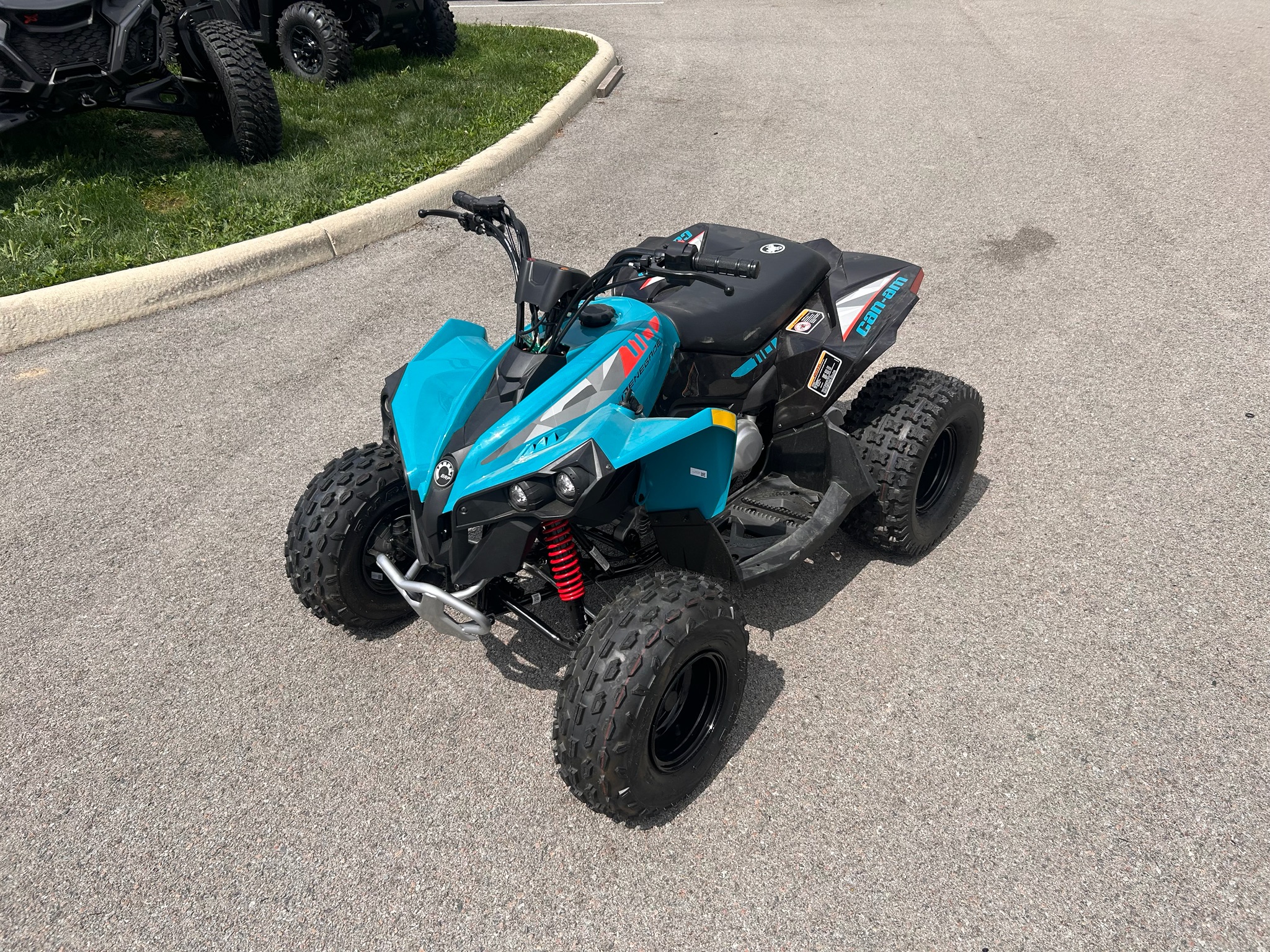 2026 Can-Am Renegade 110 EFI