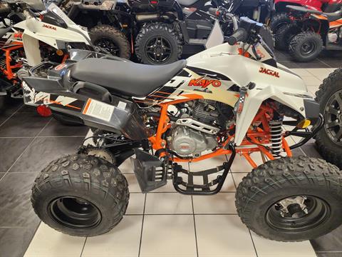 New 2021 Kayo Jackal 200 - Specs, Price, Photos | Chanute KS