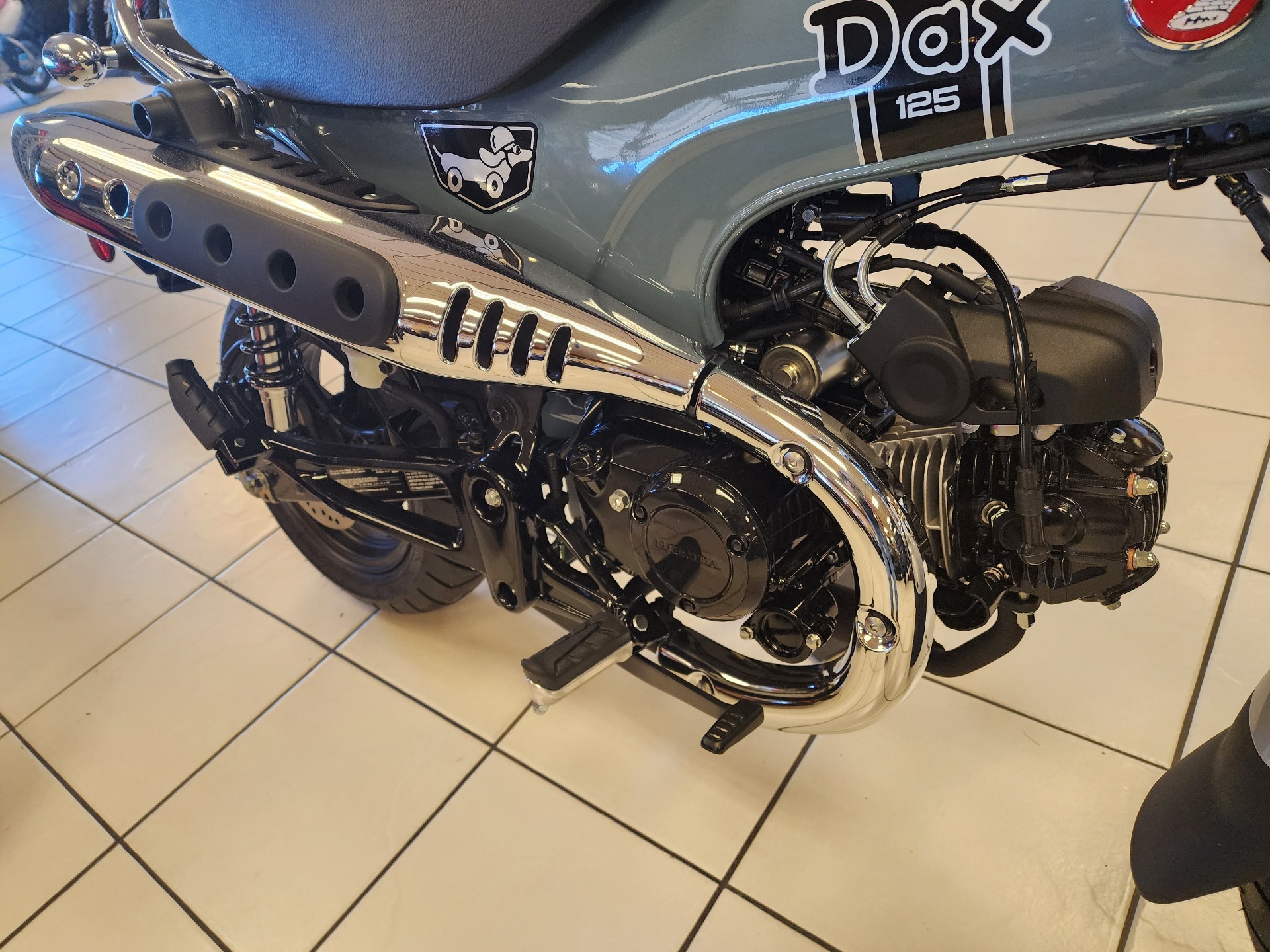 New 2025 Honda Dax 125 - Specs, Price, Photos | Chanute KS Dealer