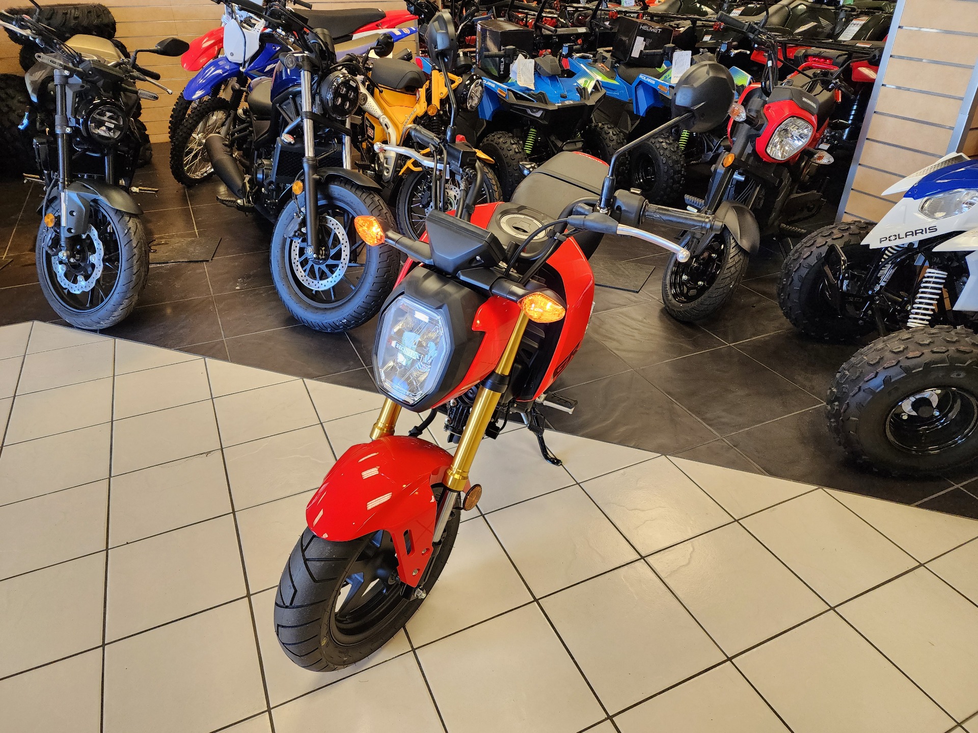 New 2025 Honda Grom - Specs, Price, Photos | Chanute KS Dealer