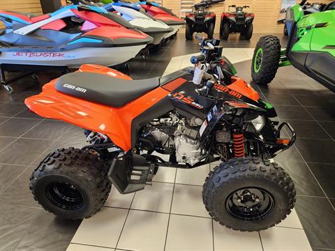 2026 Can-Am DS 250