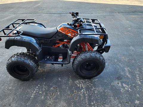 New 2023 Kayo Bull 150 - Specs, Price, Photos | Chanute KS