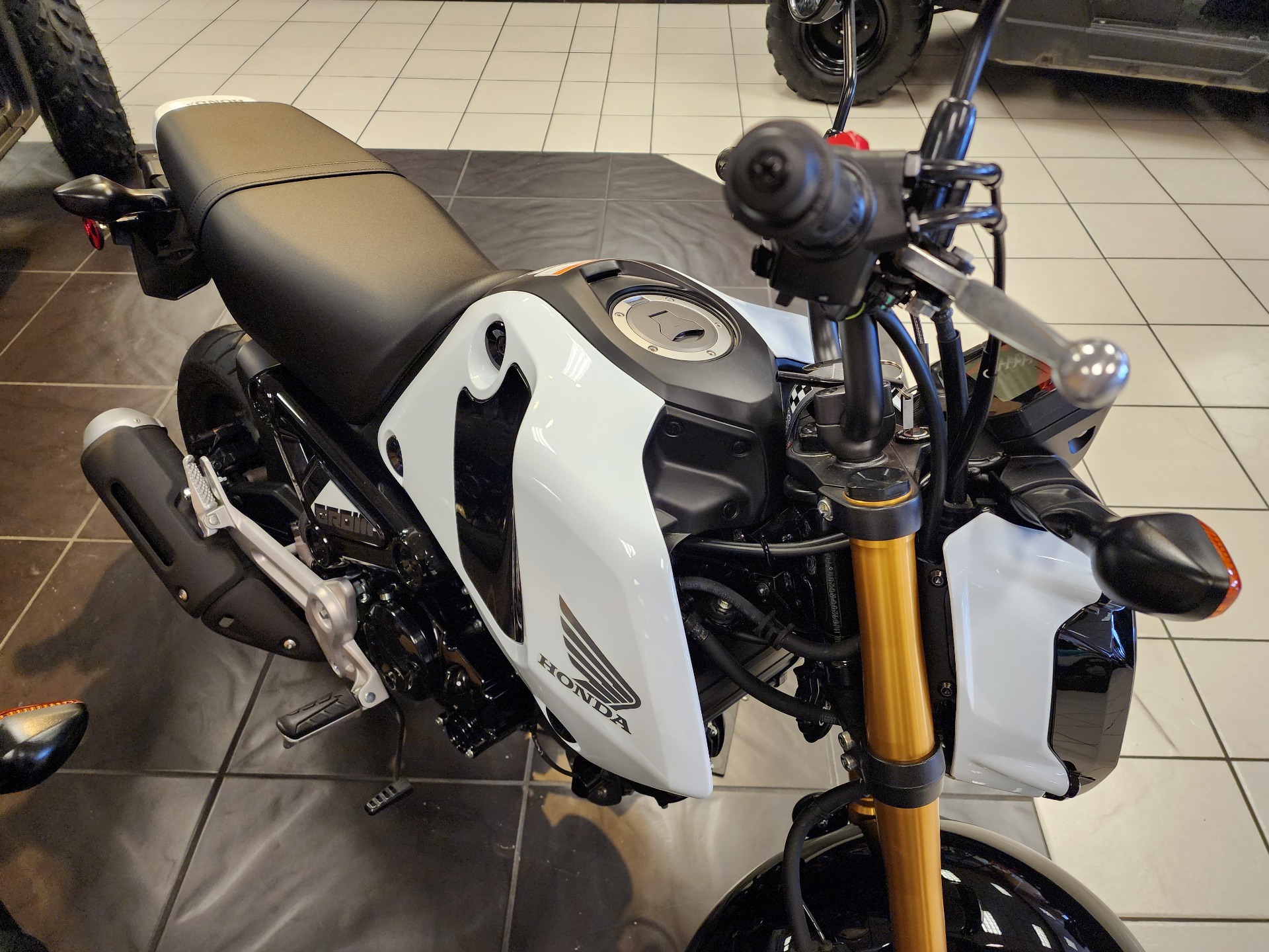 Honda Msx 125 Abs 2021 MSX125 Grom Mini Motorbike Honda Motorcycles NZ
