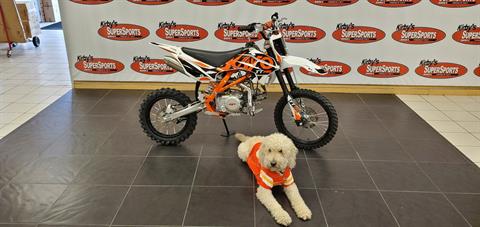 New 2022 Kayo TT 140 - Specs, Price, Photos | Chanute KS