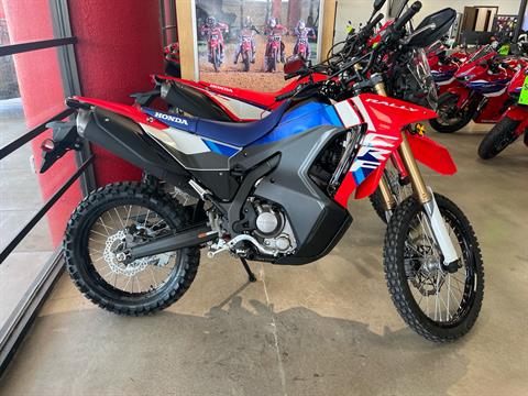 2025 Honda CRF300L Rally ABS in Wichita, Kansas