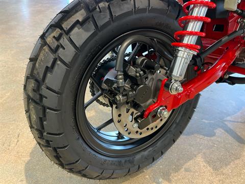 2025 Honda Monkey ABS in Wichita, Kansas - Photo 8