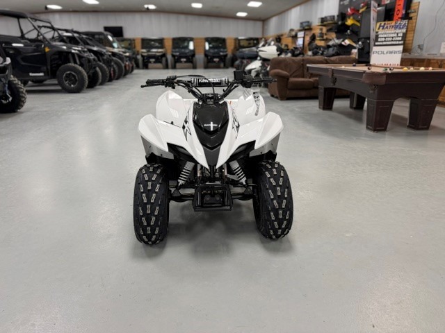 2027 Kawasaki KFX®90 2