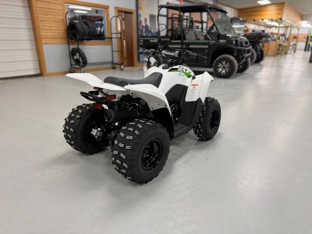 2027 Kawasaki KFX®90 6