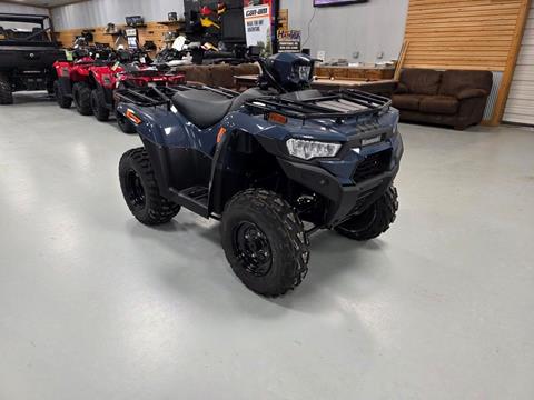 2026 Kawasaki Brute Force 300