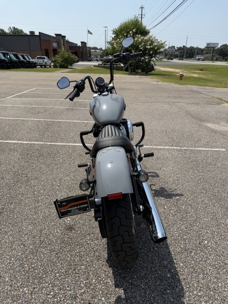 2026 Harley-Davidson Street Bob® 3