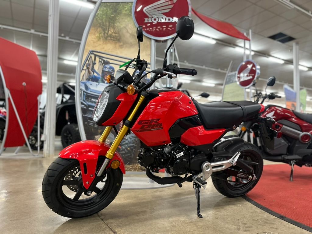 2025 Honda Grom in Columbia, Tennessee - Photo 2