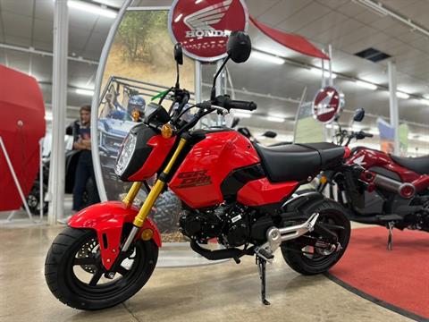 2025 Honda Grom in Columbia, Tennessee - Photo 1