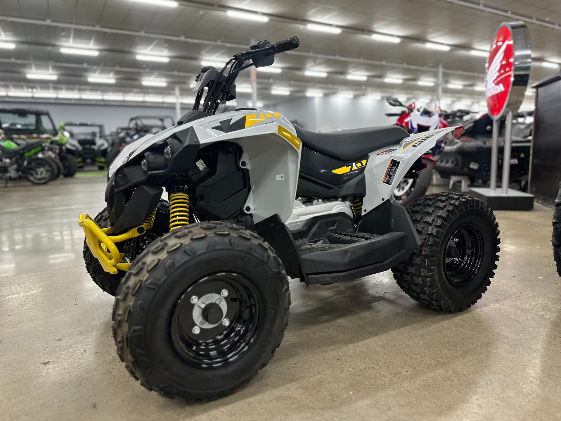 2025 Can-Am Renegade 110 EFI in Columbia, Tennessee - Photo 1