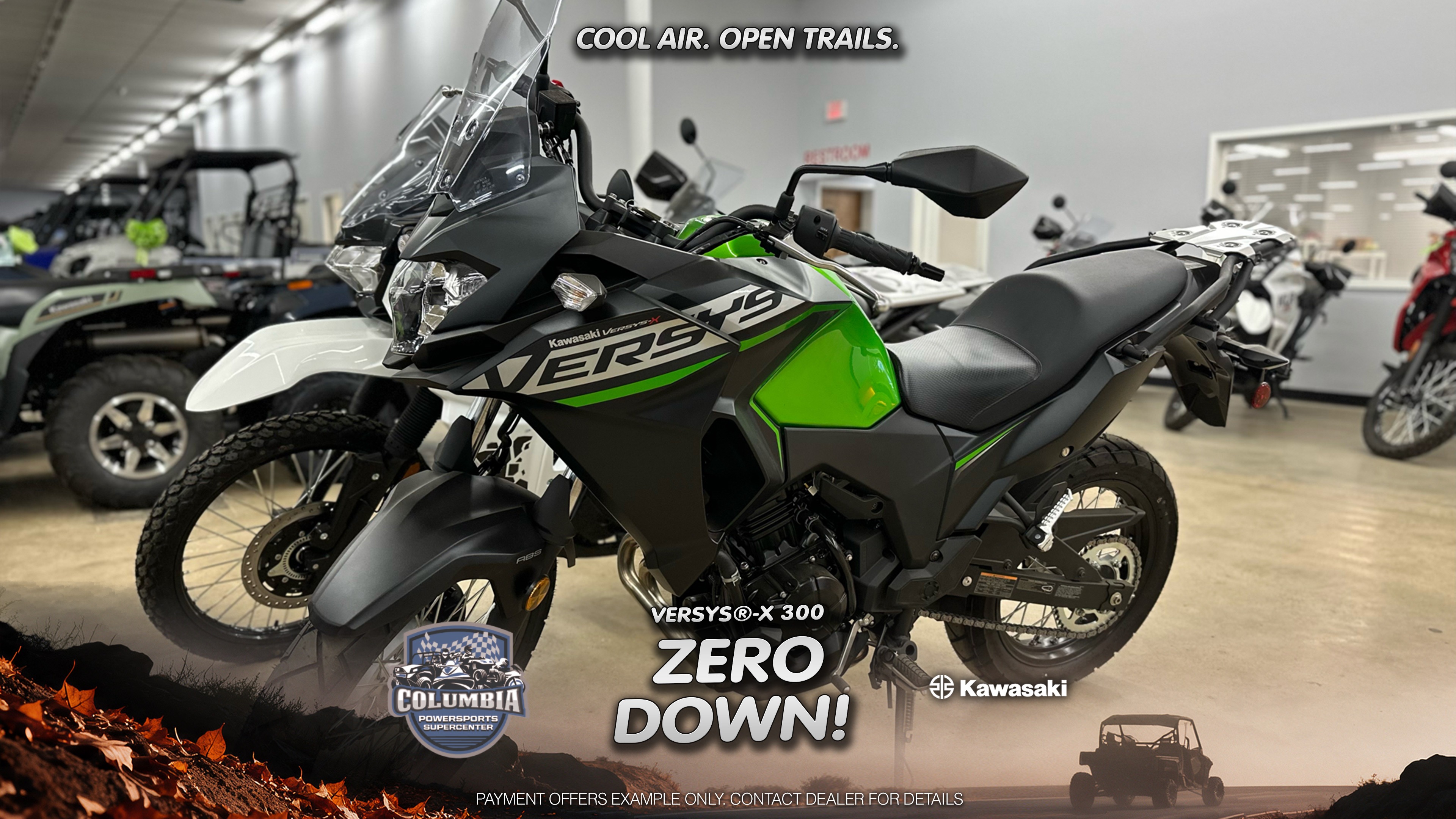 New 2025 Kawasaki Versys®-X 300 ABS, Columbia TN | Specs, Price