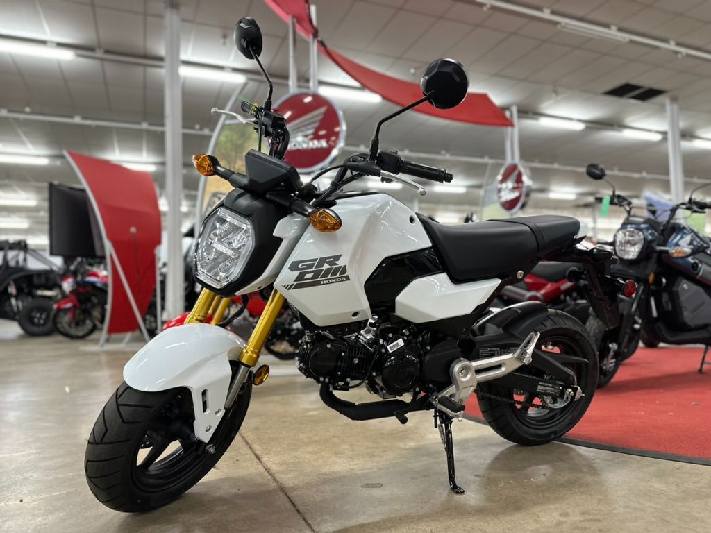 2025 Honda Grom ABS in Columbia, Tennessee - Photo 1