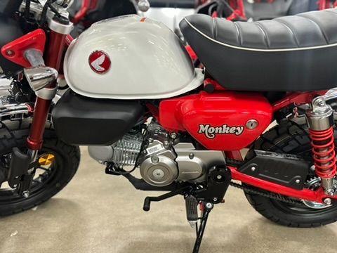 2025 Honda Monkey ABS in Columbia, Tennessee - Photo 2