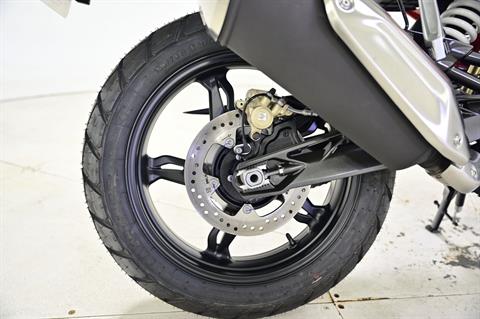 2024 BMW G 310 GS in Richfield, Minnesota - Photo 10
