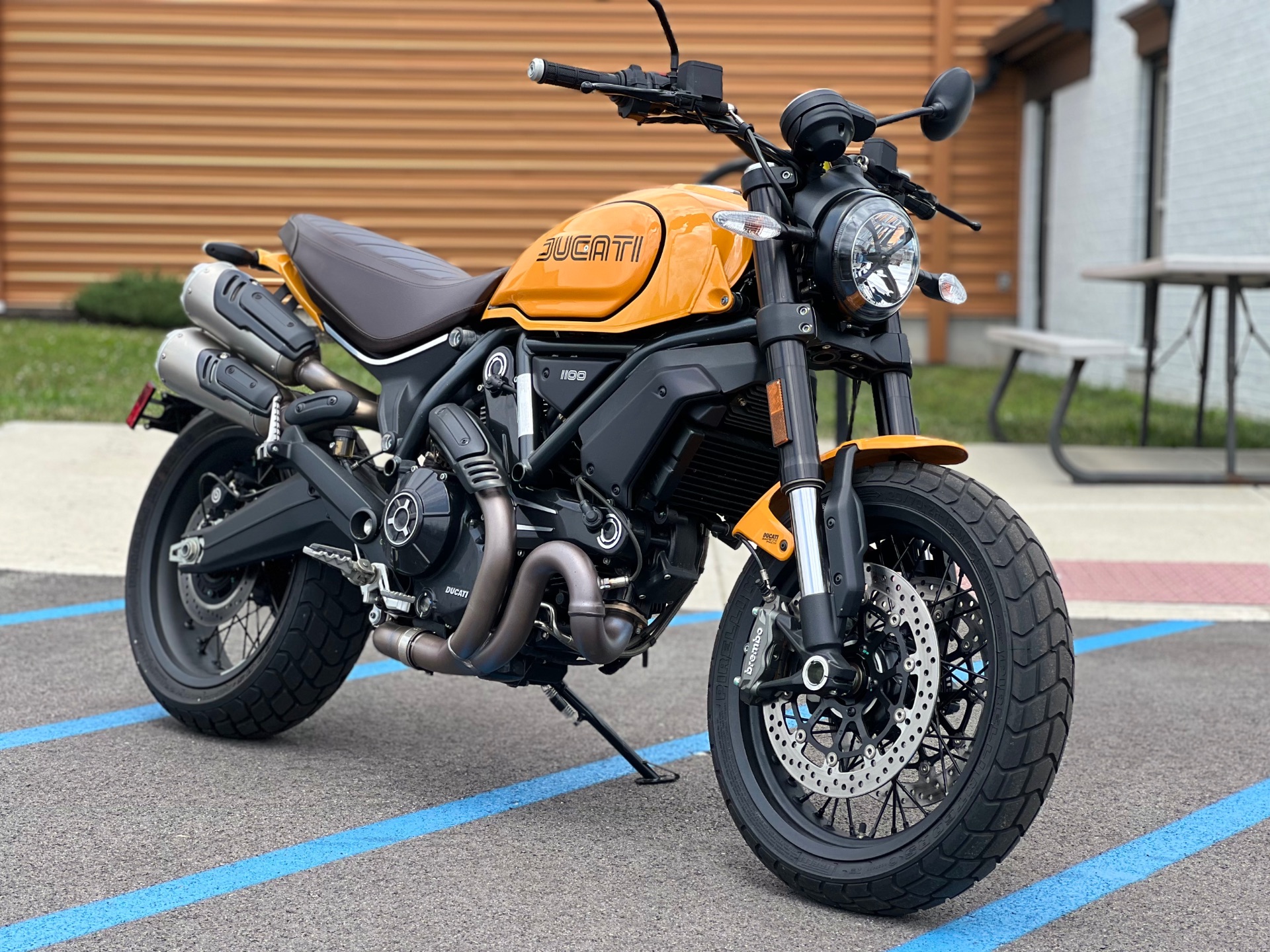 Scrambler Ducati Monster Gialla Used 2023 Ducati Scrambler 1100