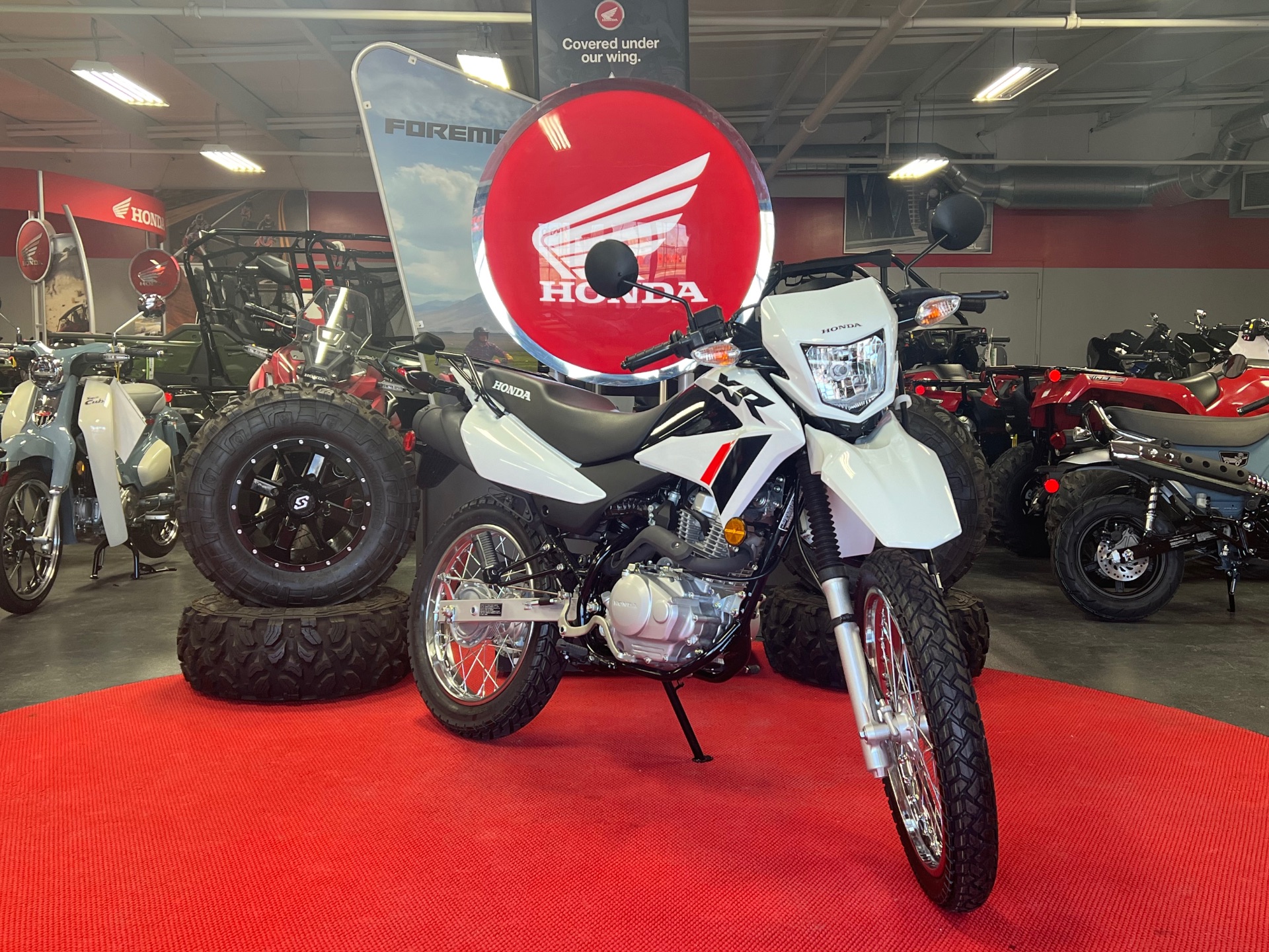 2024 Honda XR150L in Lafayette, Indiana - Photo 2