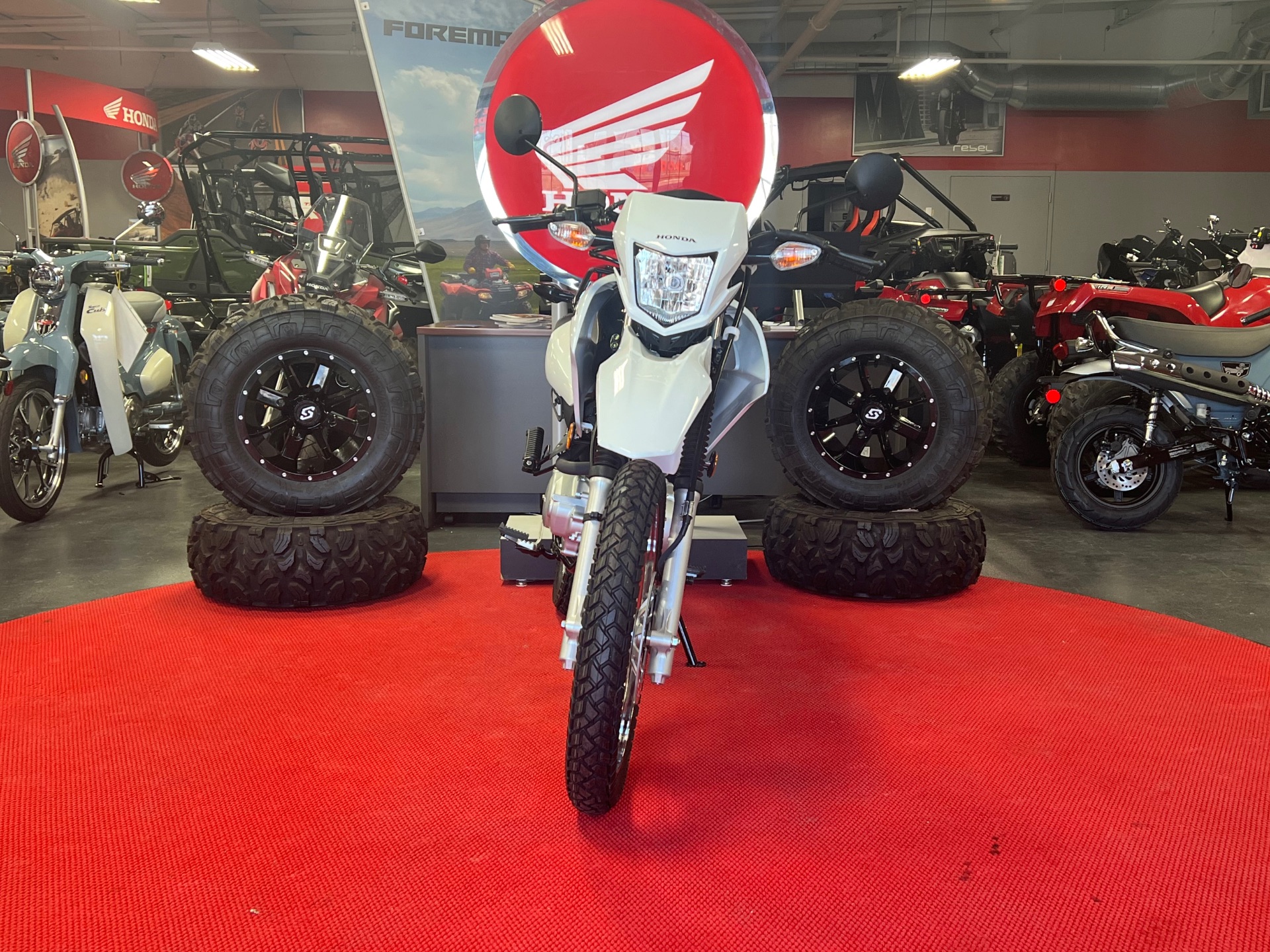 2024 Honda XR150L in Lafayette, Indiana - Photo 3